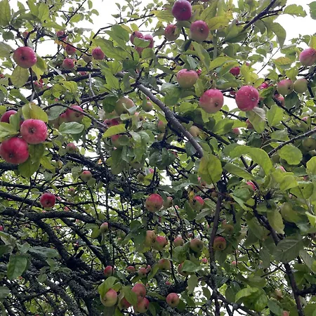 Σπίτι διακοπών Lotta *